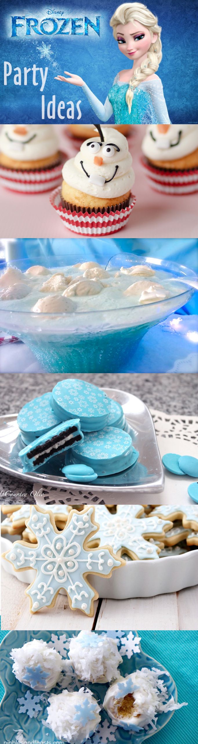 Frozen Themed Birthday Party
 Throw a Disney Frozen Themed Party