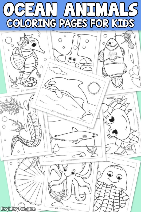 Fun Coloring Sheets For Kids
 Ocean Animals Coloring Pages for Kids Itsy Bitsy Fun