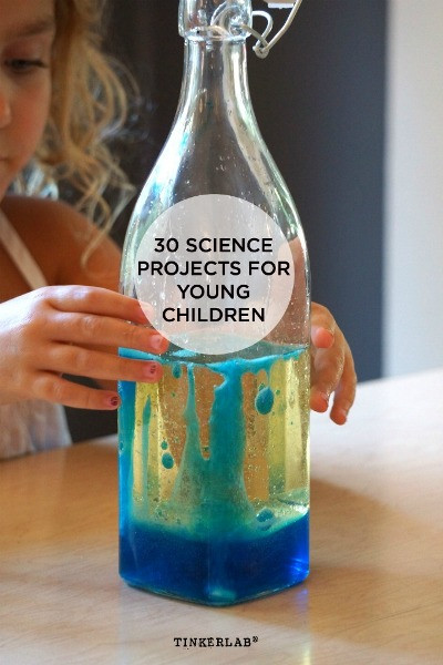 Fun Projects For Kids
 Science Fair Project Ideas