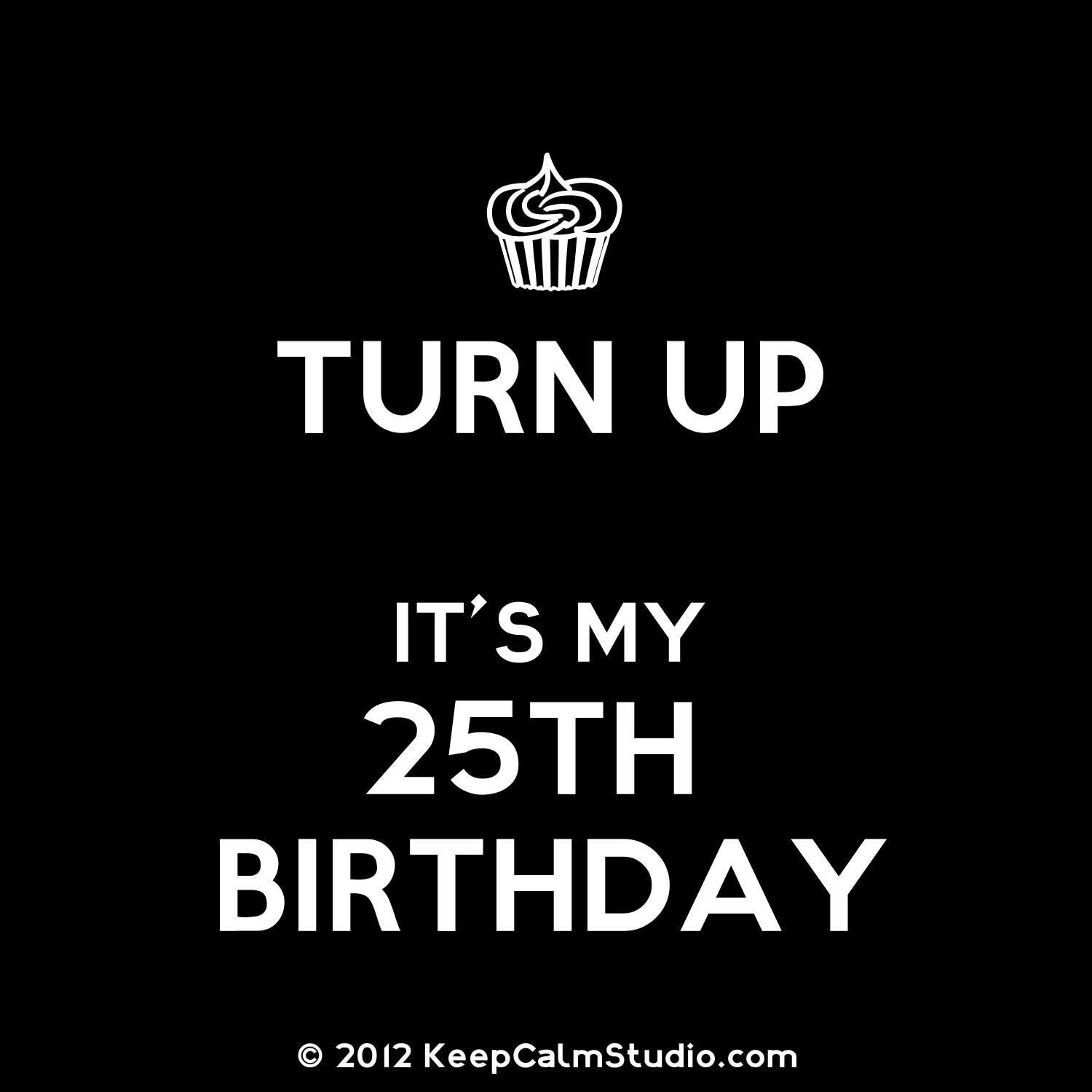 Funny 25Th Birthday Quotes
 Birthday Quotes For Turning 25 QuotesGram