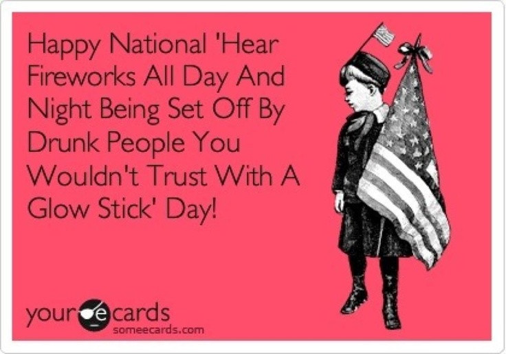 Funny 4Th Of July Quotes
 4th of july Funny Stuff