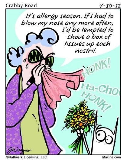 Funny Allergy Quotes
 It s Allergy Season s and for
