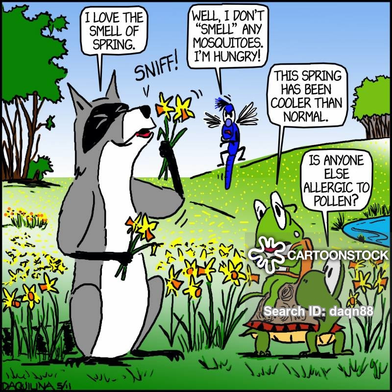 Funny Allergy Quotes Pollen Allergy Cartoons and ics funny pictures from. 