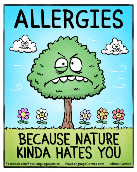 Funny Allergy Quotes
 Quotes About Spring Allergies QuotesGram