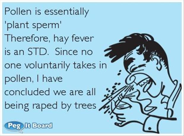 Funny Allergy Quotes
 funny pictures pollen Dump A Day
