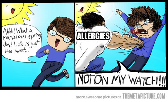 Funny Allergy Quotes
 Spring Funny Allergy Quotes QuotesGram