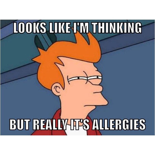 Funny Allergy Quotes
 Spring Funny Allergy Quotes QuotesGram