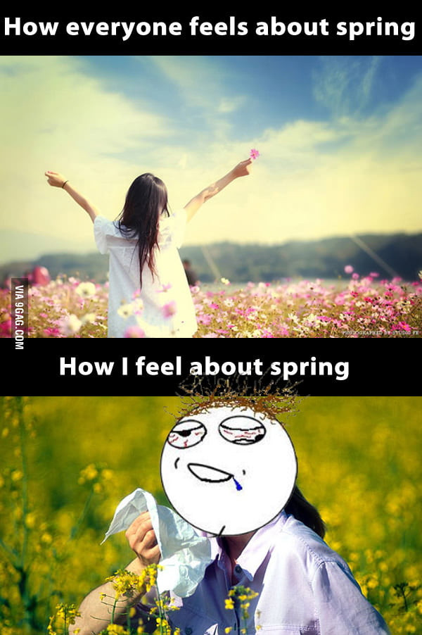 Funny Allergy Quotes
 Hayfever ruins spring 9GAG