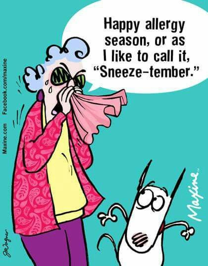 Funny Allergy Quotes
 Happy allergy season or as I like to call it “Sneeze