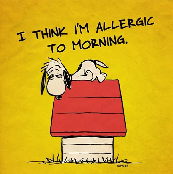 Funny Allergy Quotes
 Allergic to Monday