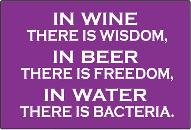 Funny Beer Quotes
 Beer Quotes Funny