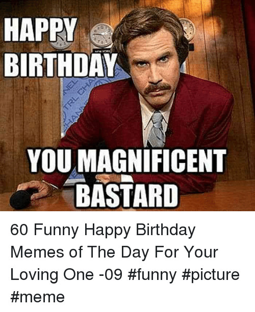 Funny Birthday Memes
 HAPPY BIRTHDAY YOU MAGNIFICENT BASTARD 60 Funny Happy