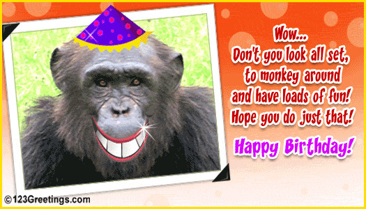 Funny Birthday Wishes For Friends
 Birthday Wishes For Friends Funny