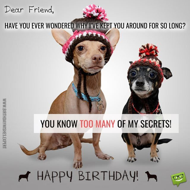 Funny Birthday Wishes For Friends
 Huge List of Funny Birthday Quotes