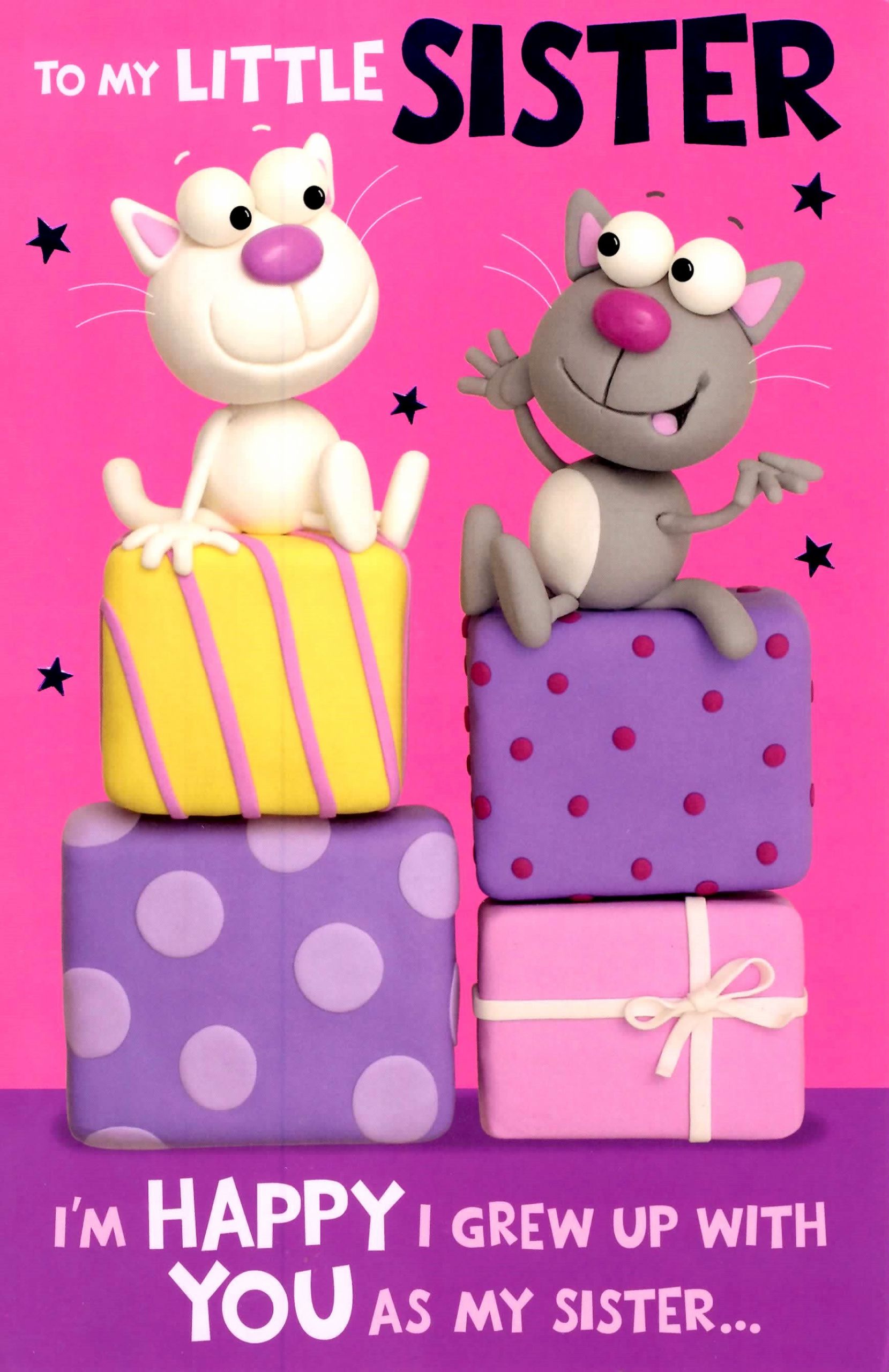 Funny Birthday Wishes To Sister
 Cute Funny Little Sister Birthday Greeting Card Crackers