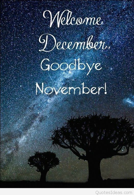 Funny December Quotes And Sayings
 Best November December quotes sayings with pictures