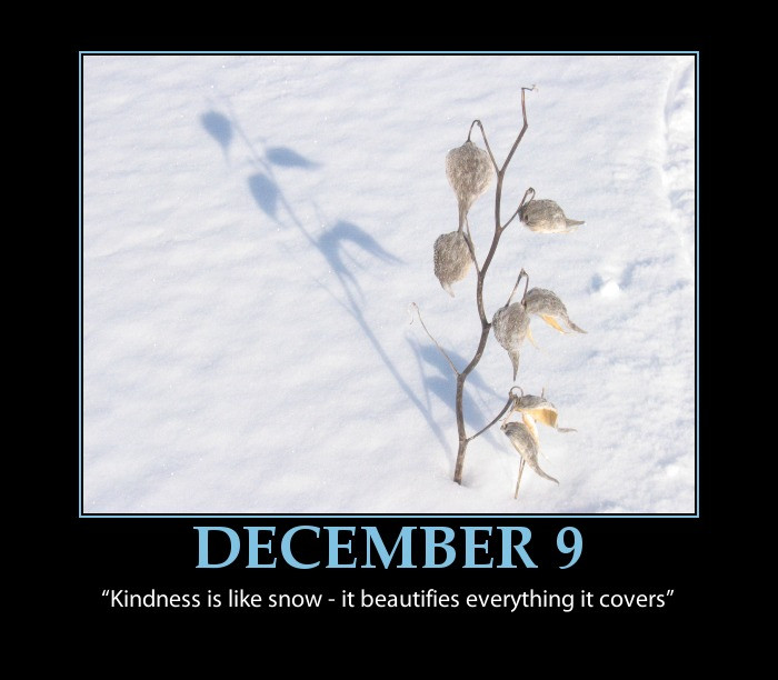 Funny December Quotes And Sayings
 Holiday Snow Funny Quotes QuotesGram