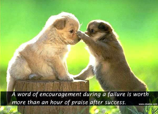 Funny Encouragement Quote
 Success Funny Quotes And Sayings QuotesGram