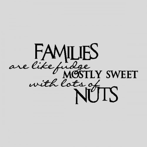 Funny Family Quotes And Sayings
 Cute And Funny Family Quotes QuotesGram