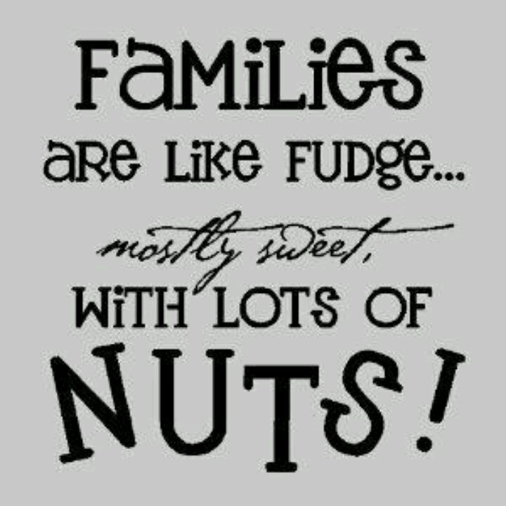 Funny Family Quotes And Sayings
 Joy Family Quotes QuotesGram