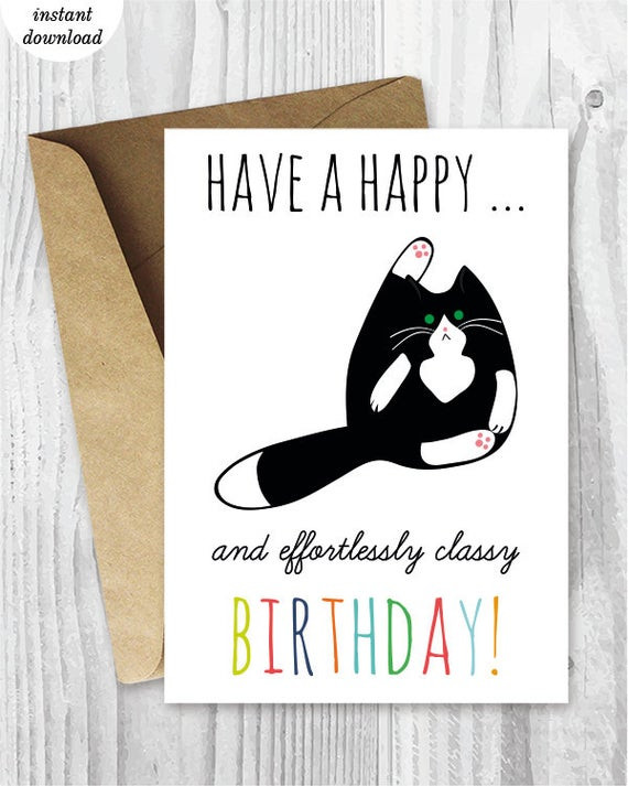 Funny Free Printable Birthday Cards
 Printable Birthday Cards Funny Cat Birthday Cards Instant