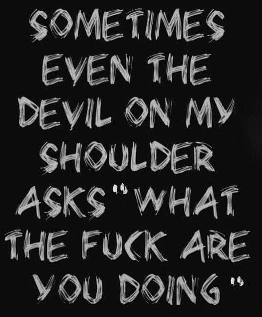 Funny Fuck Quotes
 Sometimes even the devil on my shoulder asks "What the