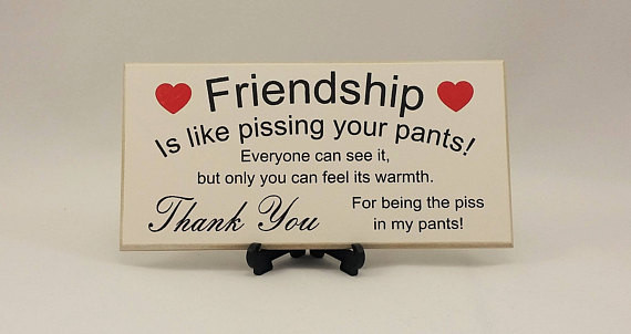 Funny Gift Ideas For Best Friend
 Best Friend Gift Funny Sign Birthday Present Friendship Gift