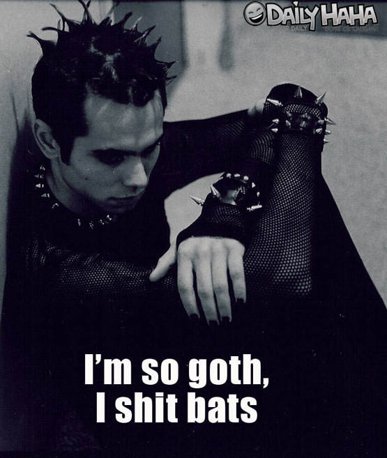 Funny Goth Quotes
 Self Deluded Cranium Dump