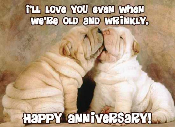 Funny Happy Anniversary Quotes
 20 Wedding Anniversary Quotes For Your Wife