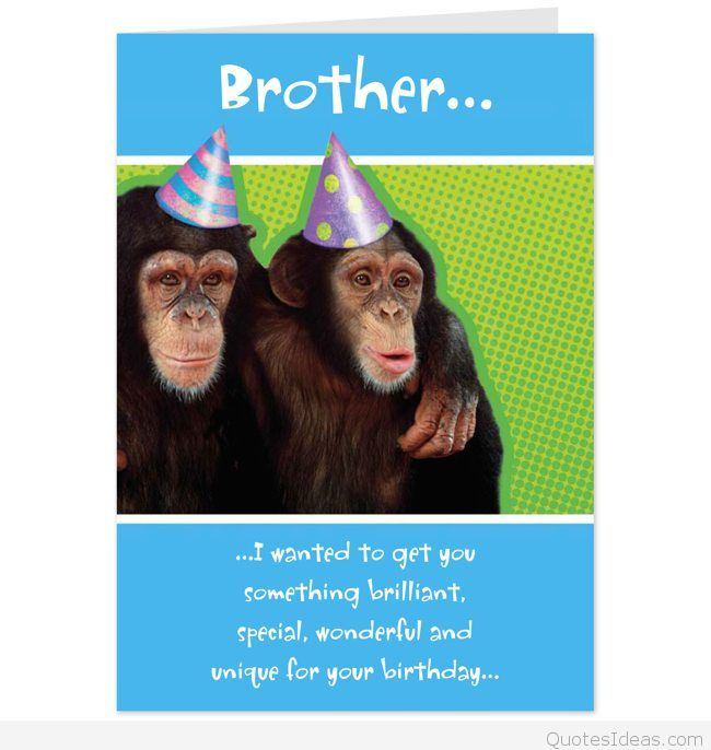 Funny Happy Birthday Brother Quotes
 Top happy Birthday brothers in law quotes sayings & cards