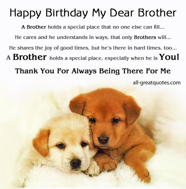 Funny Happy Birthday Brother Quotes
 12 best birthday stuff images on Pinterest