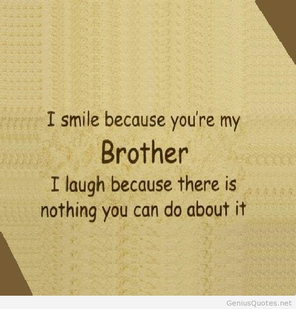 Funny Happy Birthday Brother Quotes
 BIRTHDAY QUOTES FOR BROTHER FUNNY image quotes at