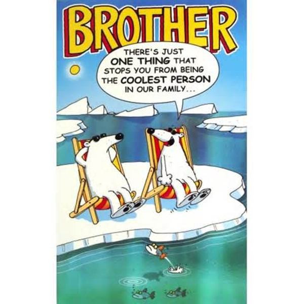 Funny Happy Birthday Brother Quotes
 Little Brother Birthday Quotes QuotesGram