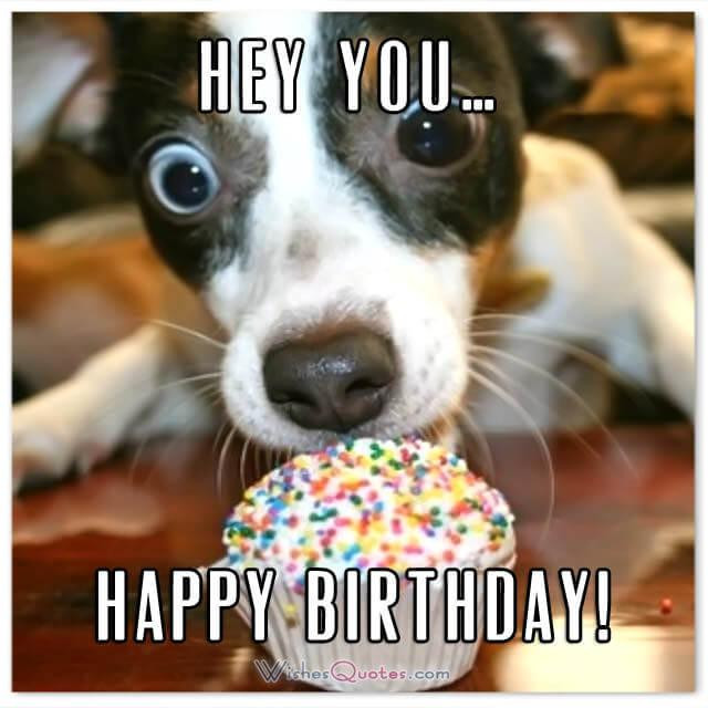 Funny Happy Birthday Quotes For Him
 Funny Birthday Wishes For Friends And Ideas For Maximum