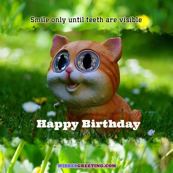 Funny Happy Birthday Wish
 105 Funny Birthday Wishes and Messages