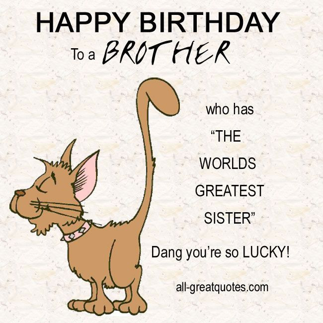 Funny Happy Birthday Wishes For Brother
 17 Best images about Birthday wishes on Pinterest