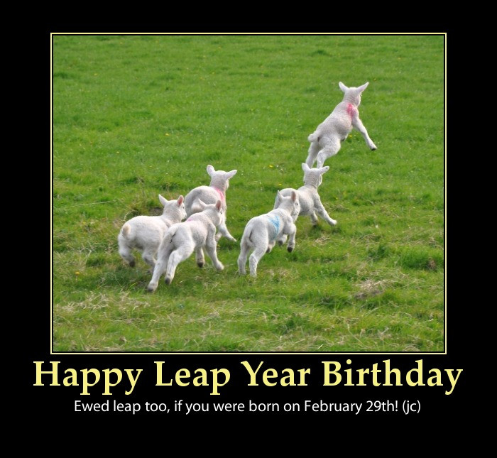 Funny Leap Year Quotes
 Leap Year Quotes And Sayings QuotesGram