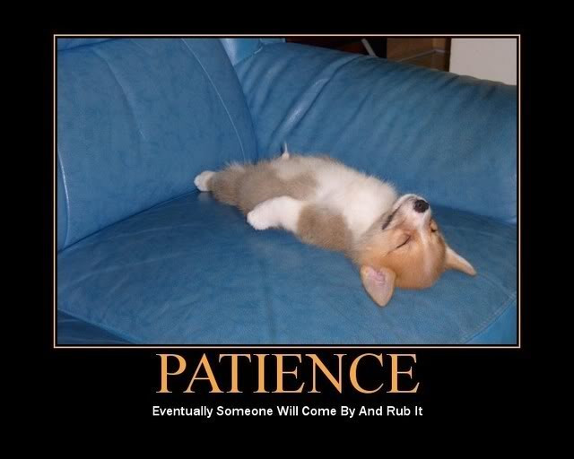 Funny Patience Quotes
 Life s A Beach Patience Is A Virtue What