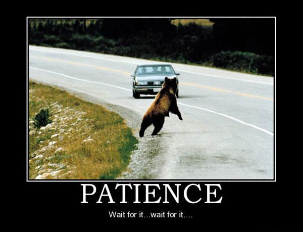 Funny Patience Quotes
 Funny Quotes About Having Patience QuotesGram