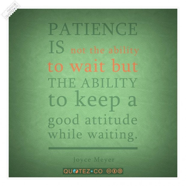 Funny Patience Quotes
 Patience Funny Quotes And Sayings QuotesGram