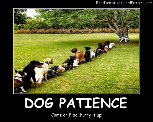 Funny Patience Quotes
 Patience Humor Quotes QuotesGram