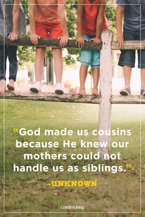 Funny Quotes About Cousins
 20 Best Cousin Quotes Funny Quotes About Cousins and Family