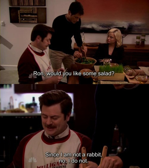 Funny Ron Swanson Quotes
 18 The Best Ron Swanson Quotes