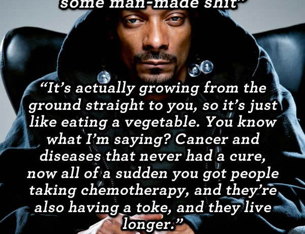 Funny Snoop Dogg Quotes
 Weed Memes Weed Memes Marijuana Memes