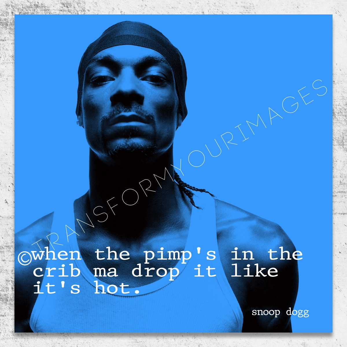 Funny Snoop Dogg Quotes
 snoop dogg quote square wall art