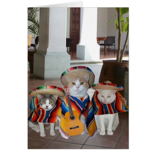 Funny Spanish Birthday Wishes
 Funny Cats Spanish Birthday for anyone Card