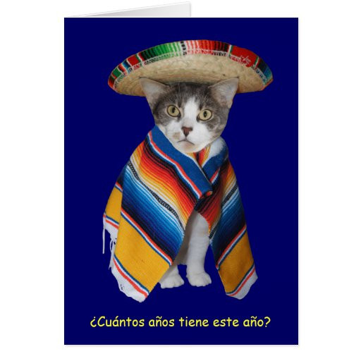 Funny Spanish Birthday Wishes
 Funny Spanish Cat Kitty Birthday Greeting Card