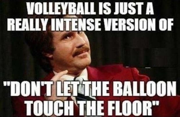 Funny Volleyball Quotes
 Volleyball Quotes And Jokes QuotesGram