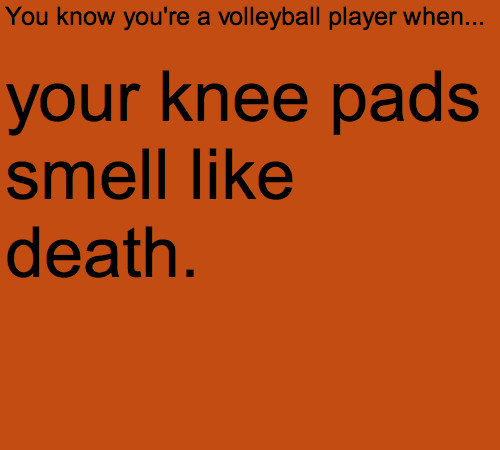 Funny Volleyball Quotes
 Volleyball Quotes And Jokes QuotesGram