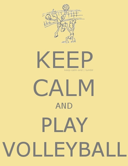 Funny Volleyball Quotes
 Volleyball Quotes And Sayings QuotesGram